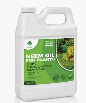 Concentrated Neem Oil